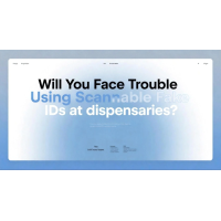 Will You Face Trouble Using Scannable Fake IDs at Dispensaries?