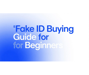 Fake ID Buying Guide for Beginners at idpapa.com