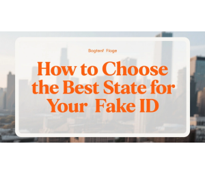 How to Choose the Best State for Your Fake ID (And Why It Matters)